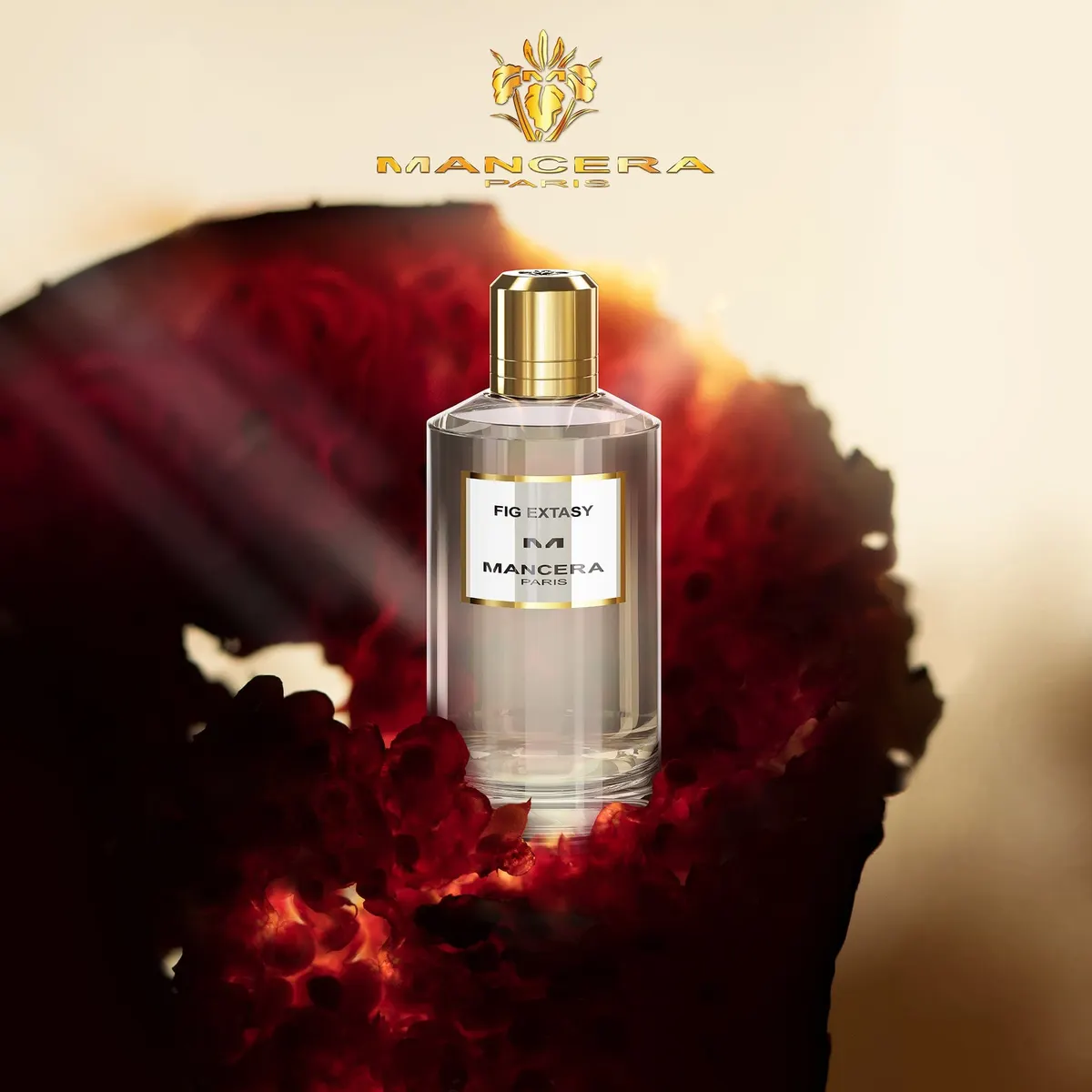 Fig Extasy by Mancera