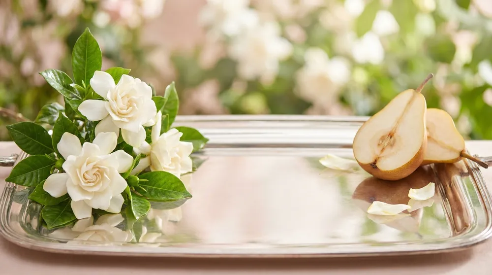 Artistic fragrance render