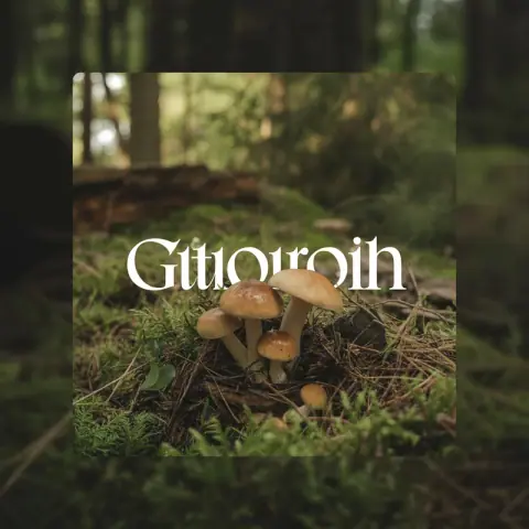 Mushroom — Damp, fungal, autumnal