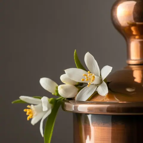Neroli