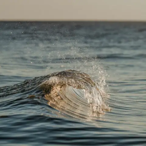 Marine Notes
