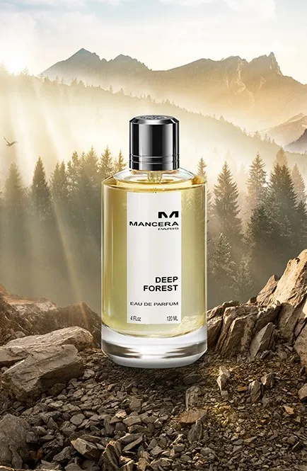 Deep Forest by Mancera
